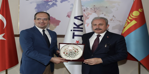 القوة الناعمة لوكالة التعاون والتنسيق التركية (تيكا): السمة الوطنية في السياسة الخارجية التركية