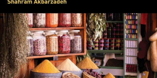 دليل سياسات الشرق الأوسط